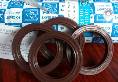 供應(yīng)臺(tái)灣進(jìn)口氟膠油封,NAk/SOG氟膠油封-上海泛塞機(jī)電設(shè)備