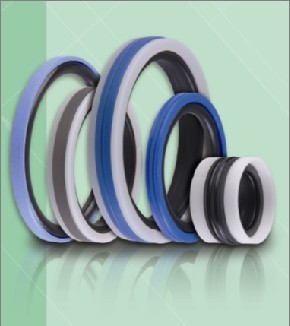 進(jìn)口油封 進(jìn)口密封 密封件--大連仟豐貿(mào)易