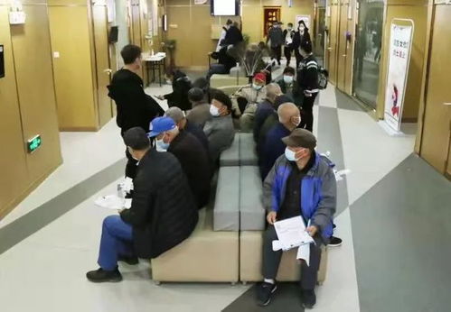 關愛銀發，健康守護 老年人體檢服務平臺的創新與實踐